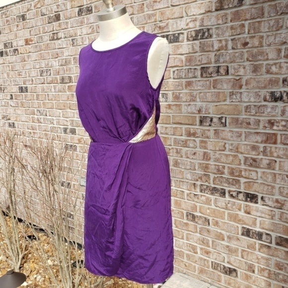 Sachin + Babi Silk Sequin Sleeveless Dress size 4 - Picture 1 of 7